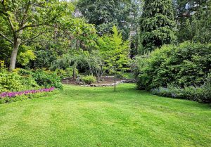 Optimiser l'expérience du jardin à Le Plessis-Luzarches